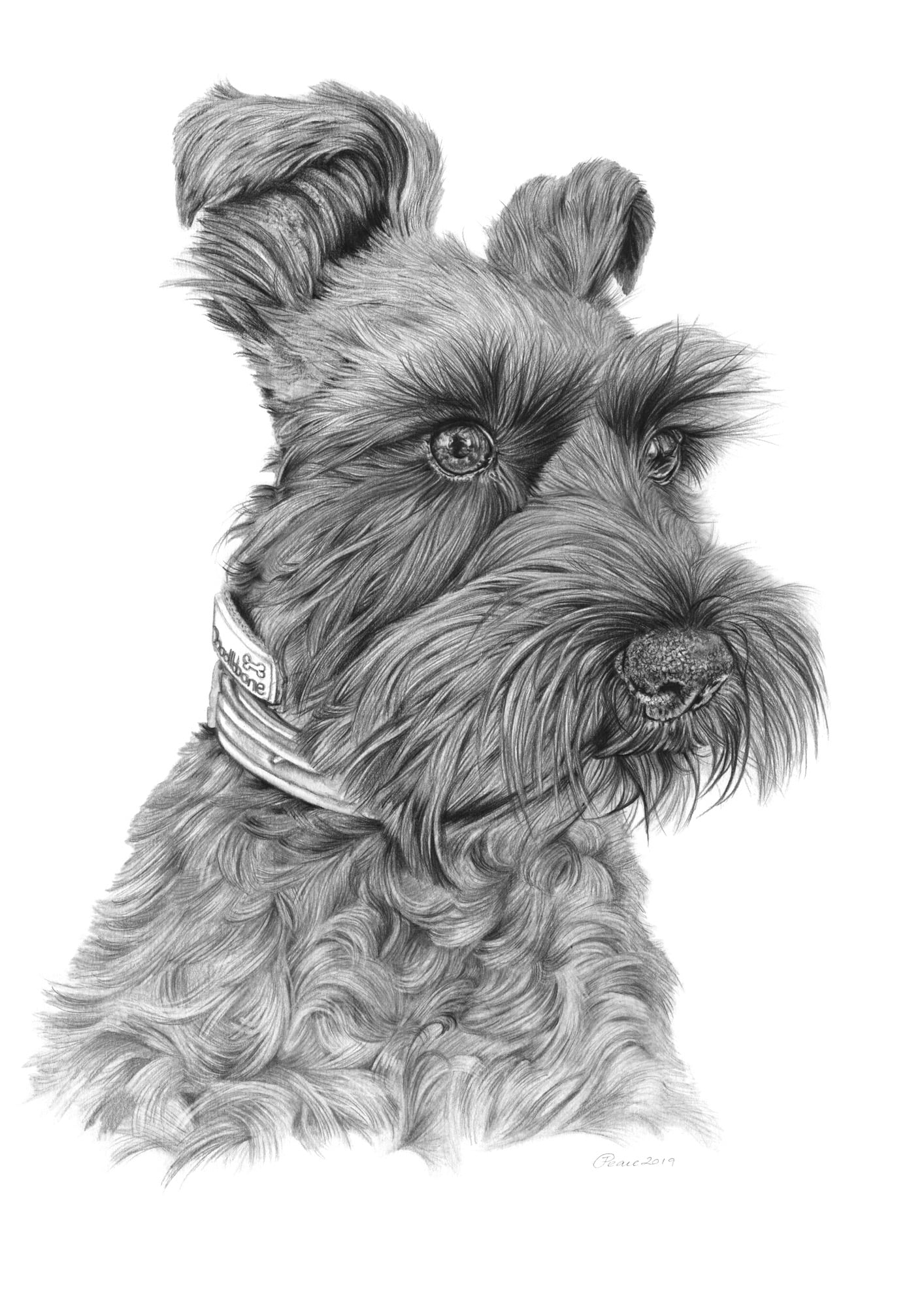 Aggie - Graphite Pencil
