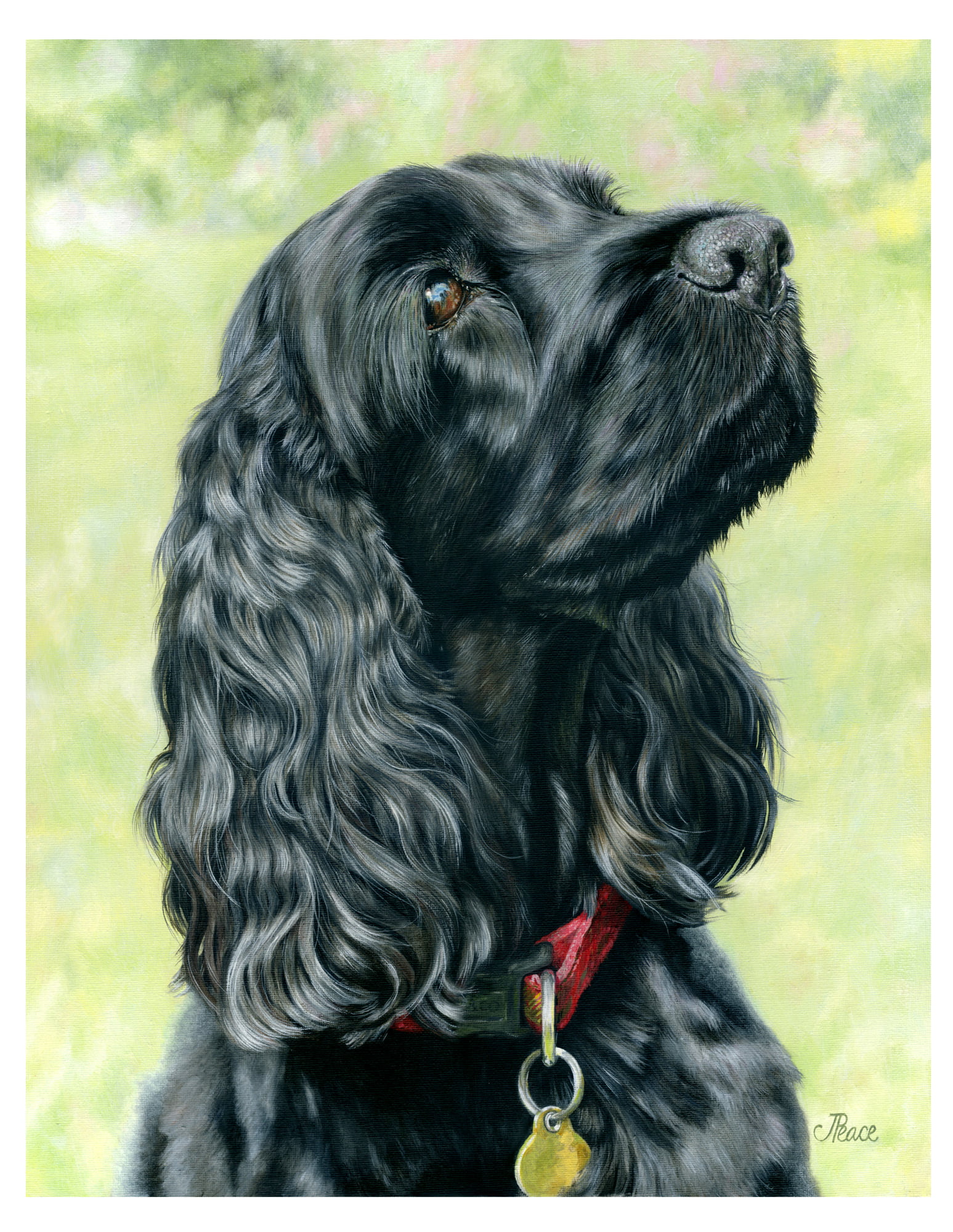 Maisy - Oil Painting