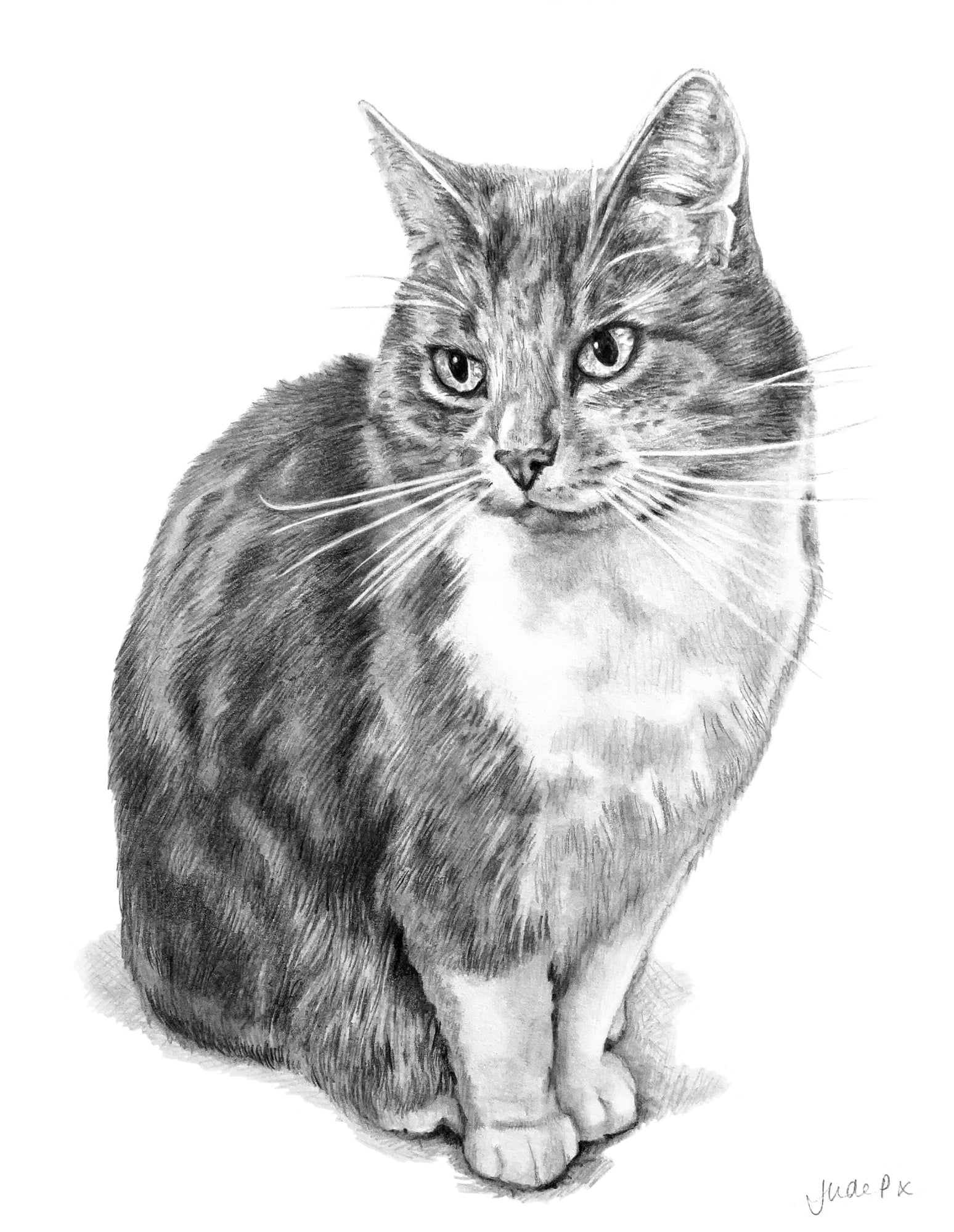 Lady - Graphite Pencil
