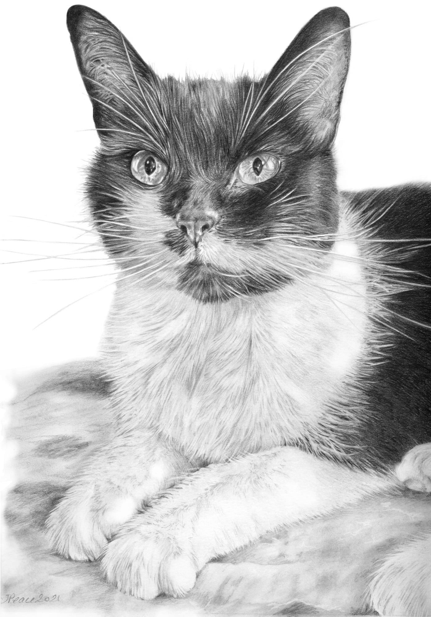 Poppy - Graphite Pencil