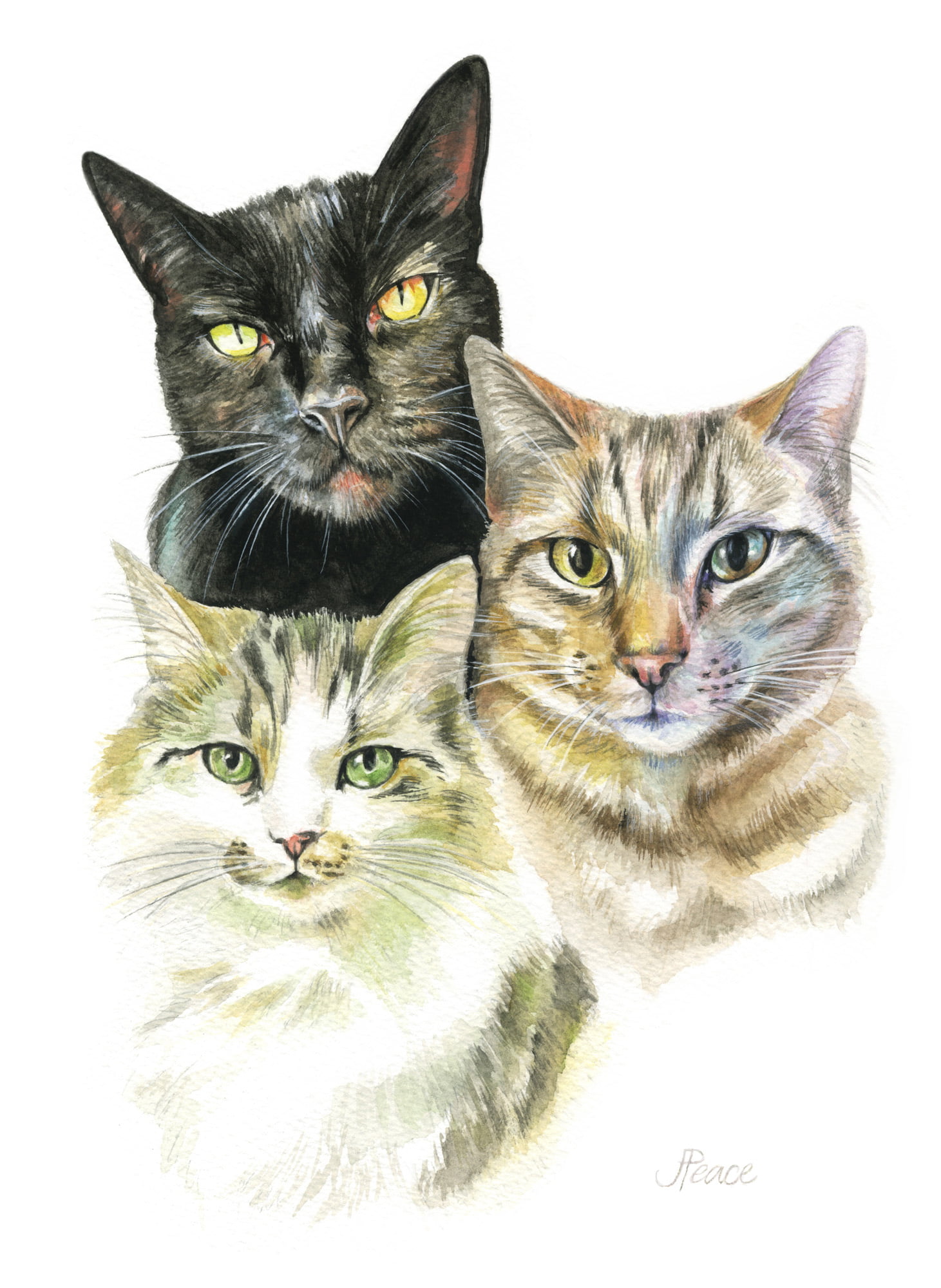 Jet, Suggs & Maggie - Watercolour