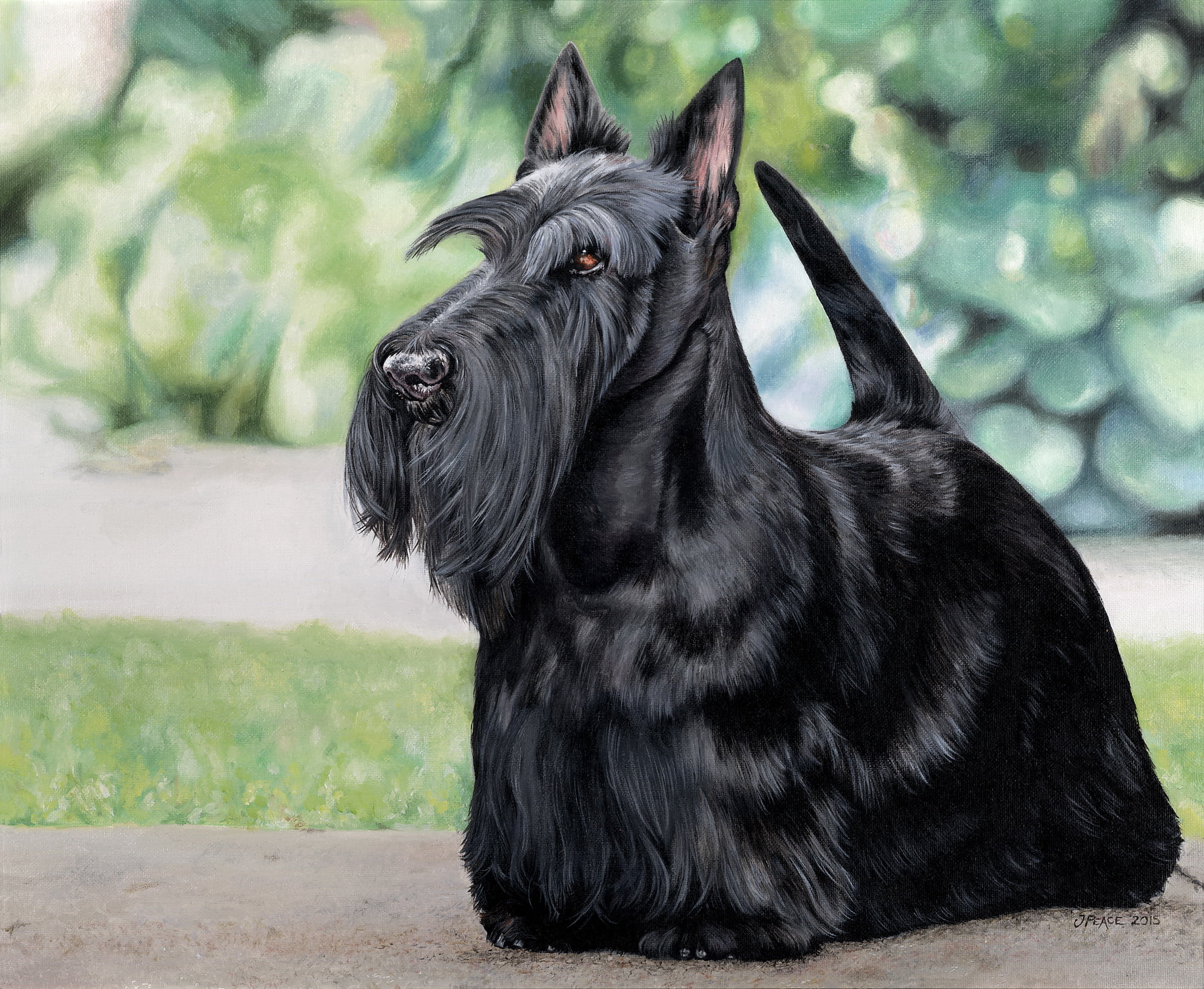 Knopa - Crufts Best in Show 2015