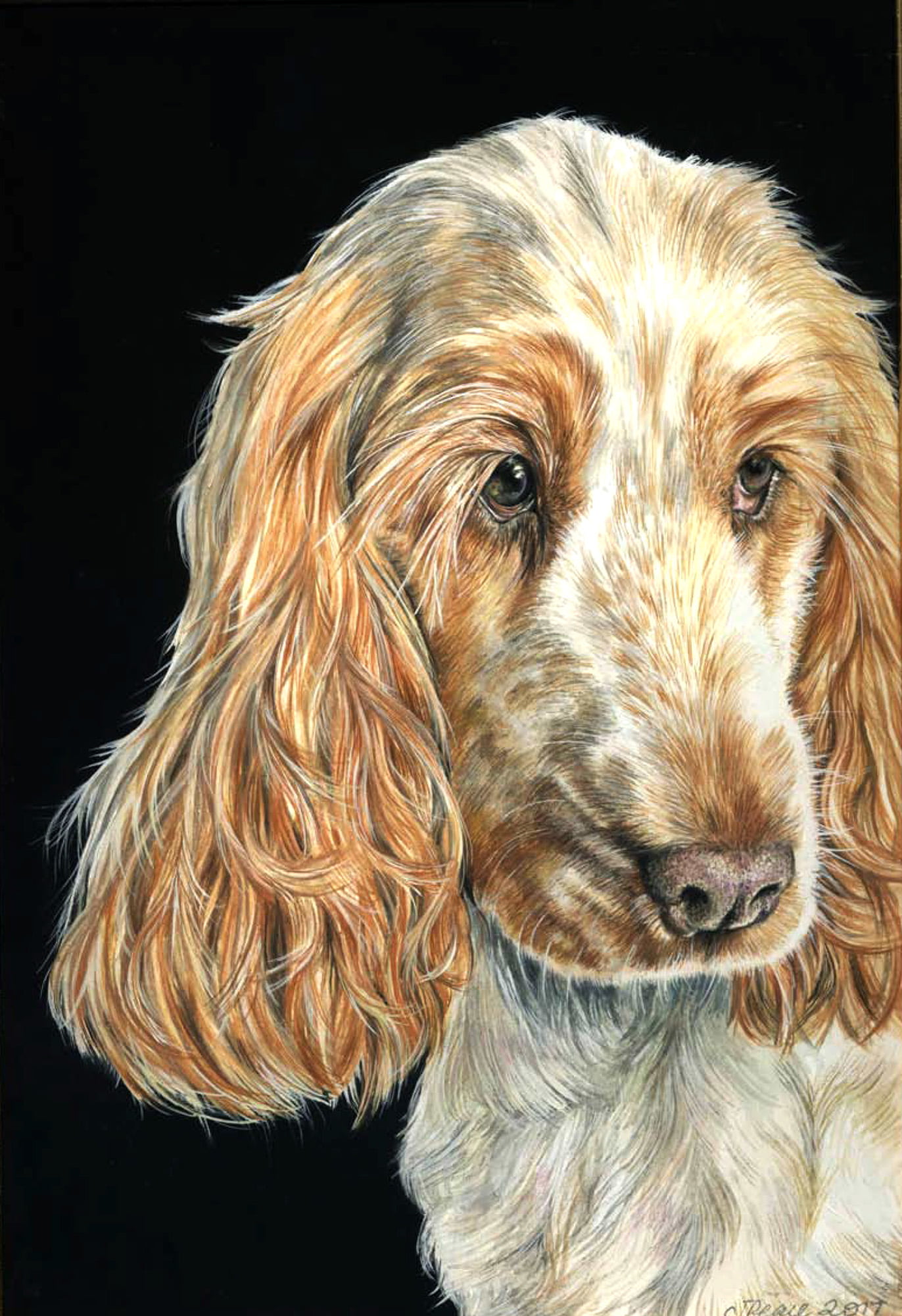 Buddy - Watercolour