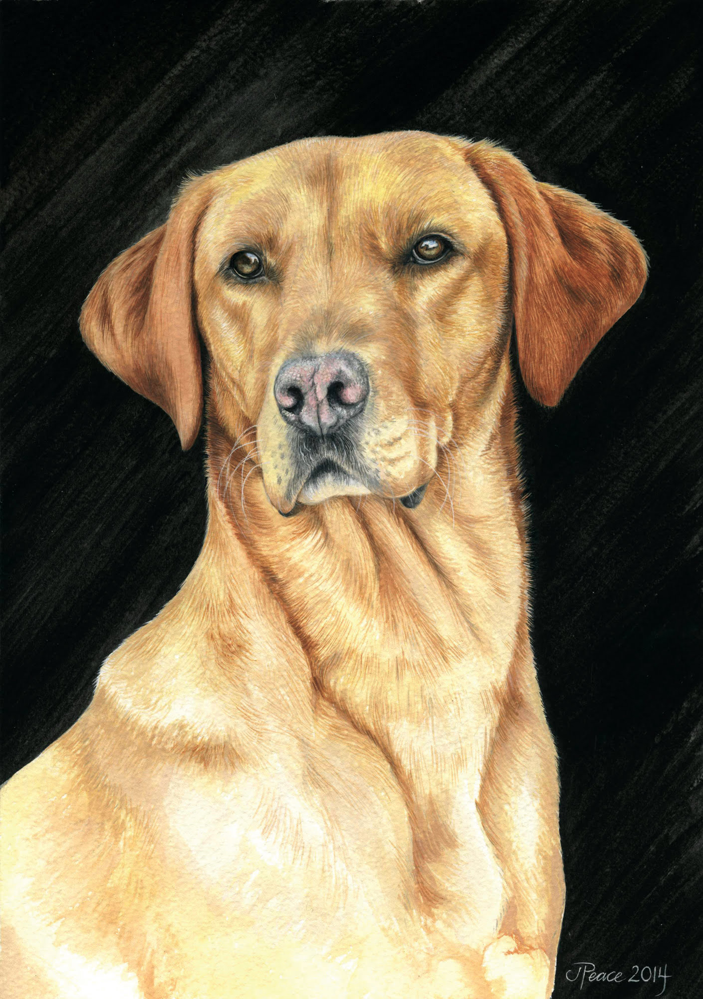 Max - Watercolour