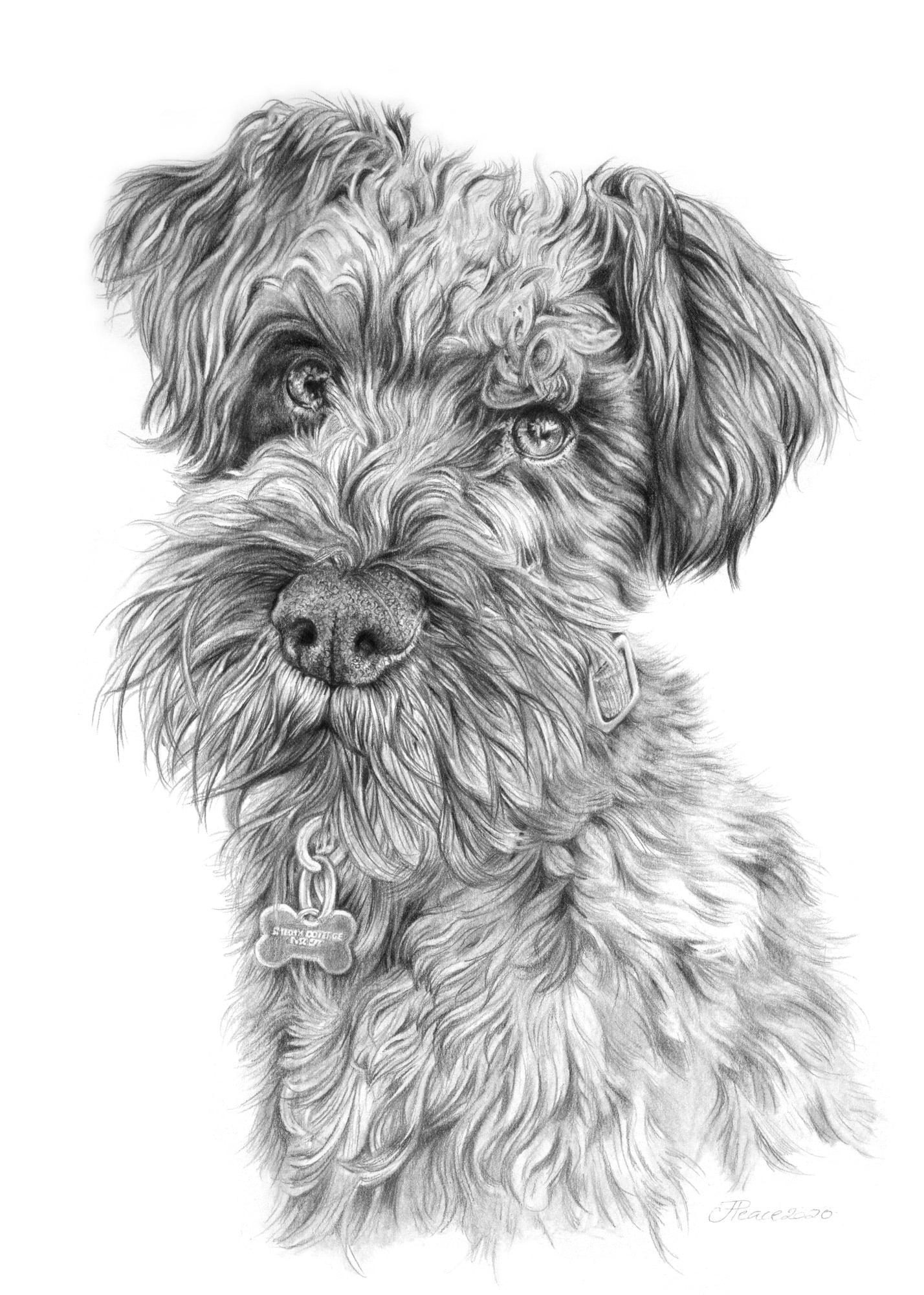 Max - Graphite Pencil