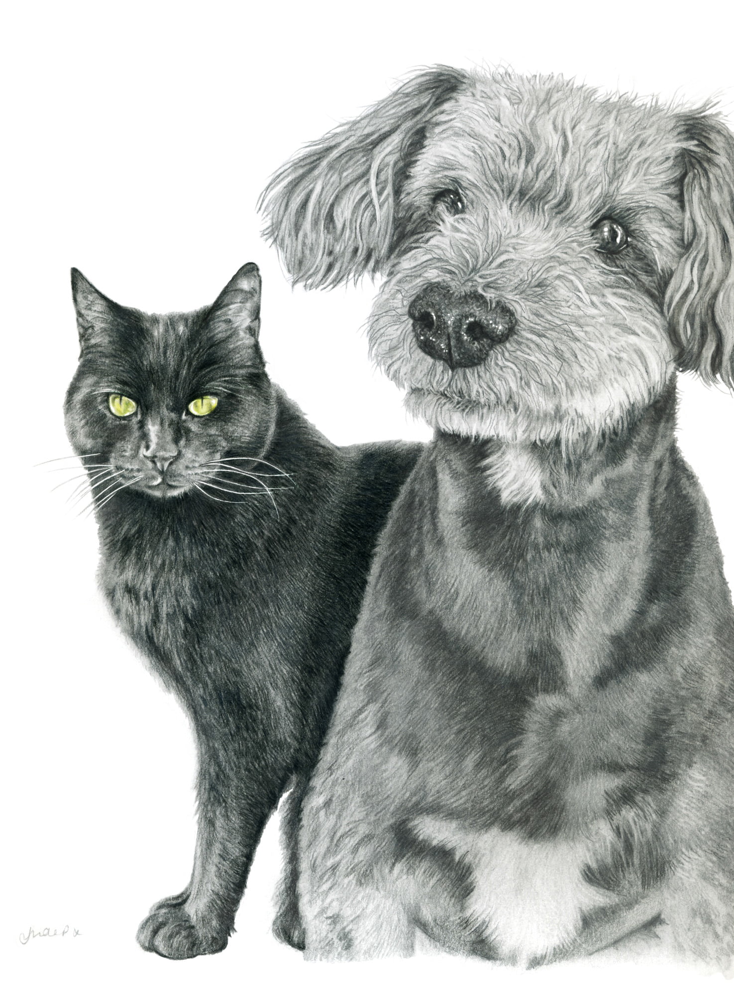 Wilson & Mickey - Graphite & Polychromos