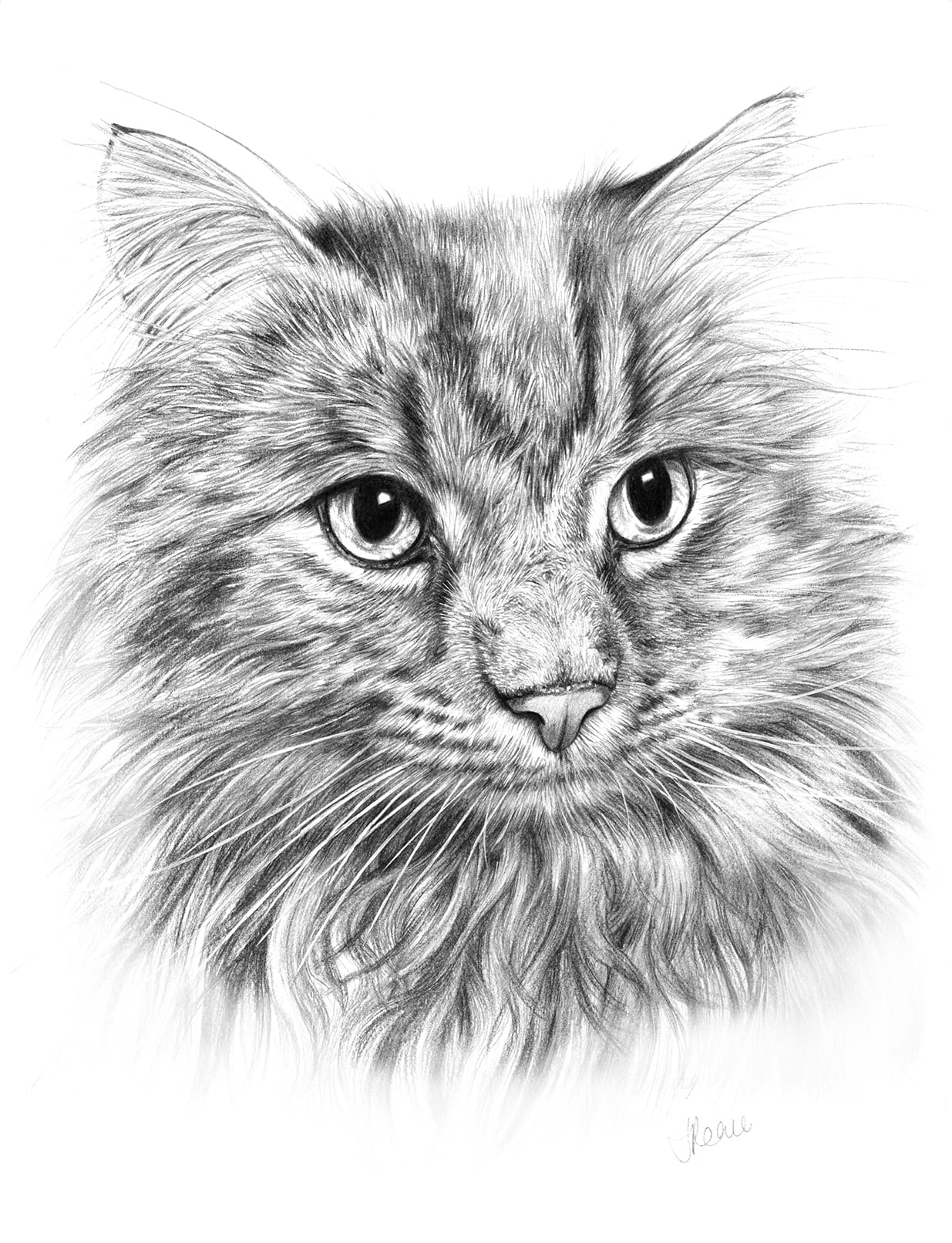 Minka - Graphite Pencil