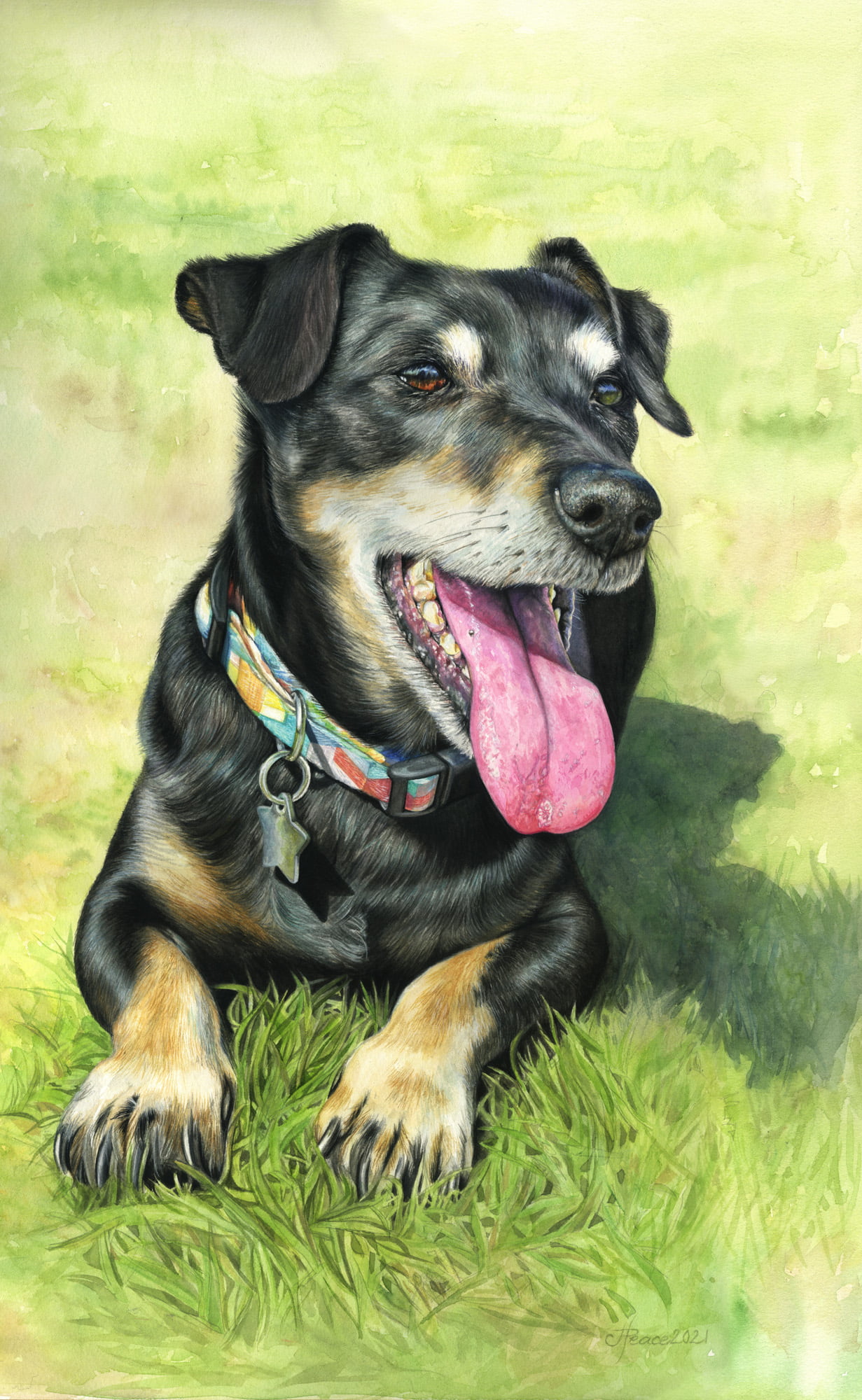 Rocky - Watercolour