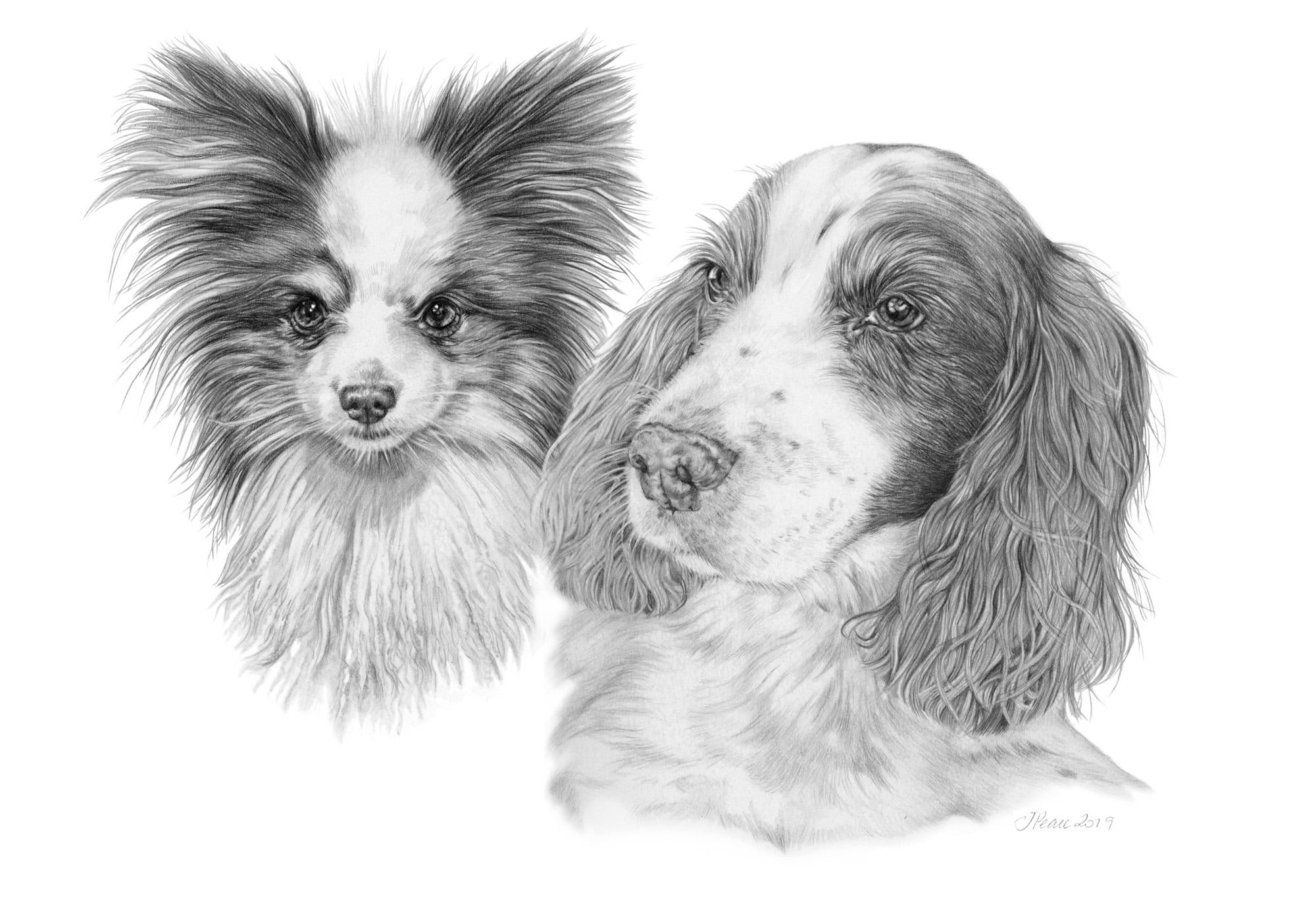 Rocky & Woody - Graphite Pencil