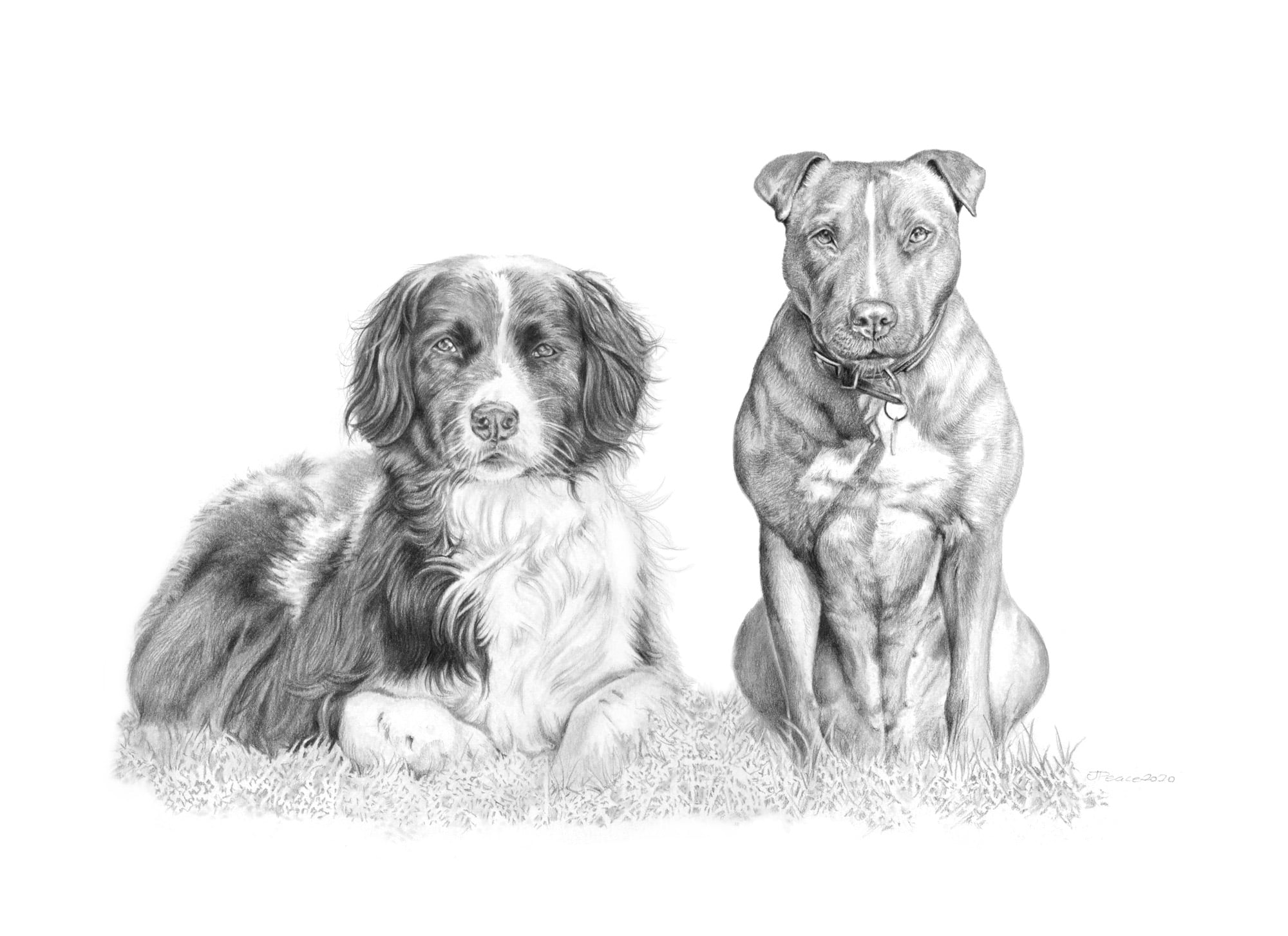 Willow & Benny - Graphite Pencil