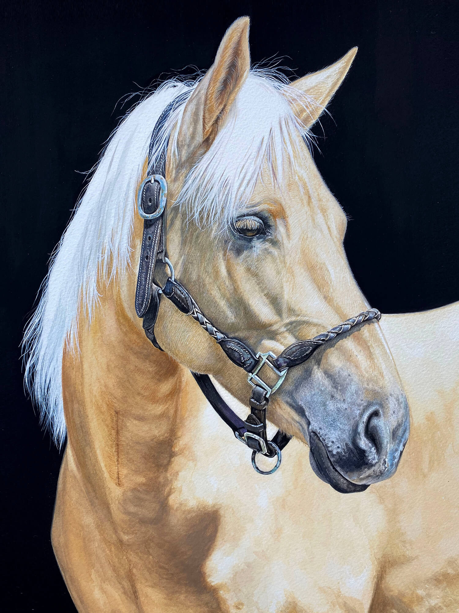 Amber - Watercolour