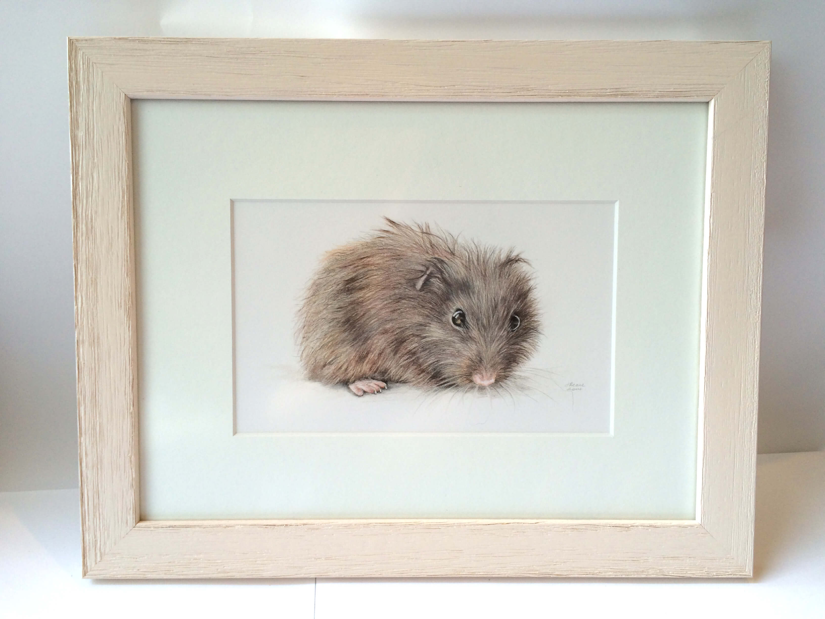Bill - Polychromos