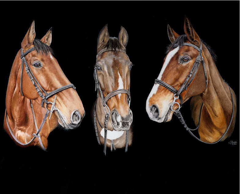 Raggy, Beauty & Trigger - Watercolour