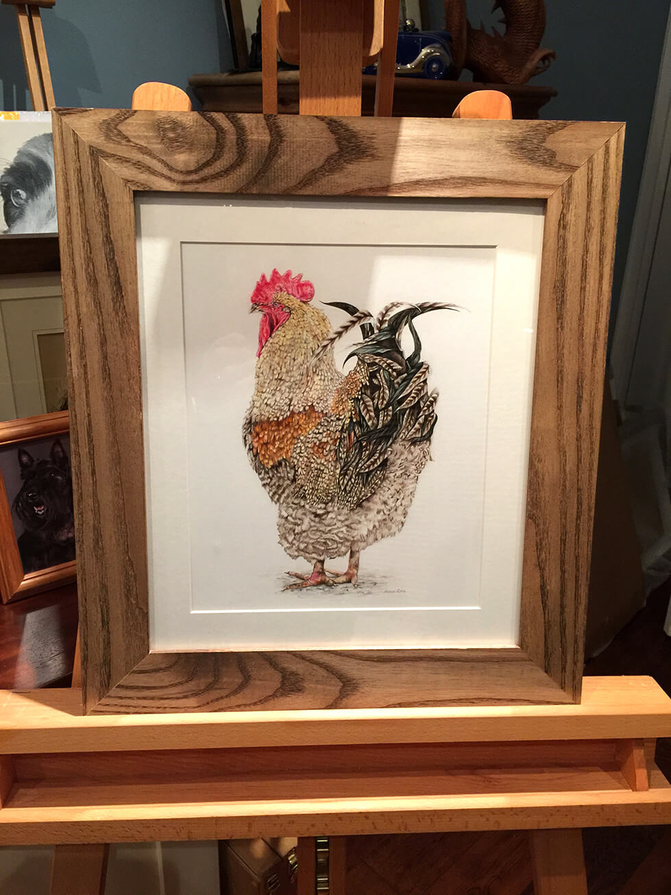 Rodney - Polychromos