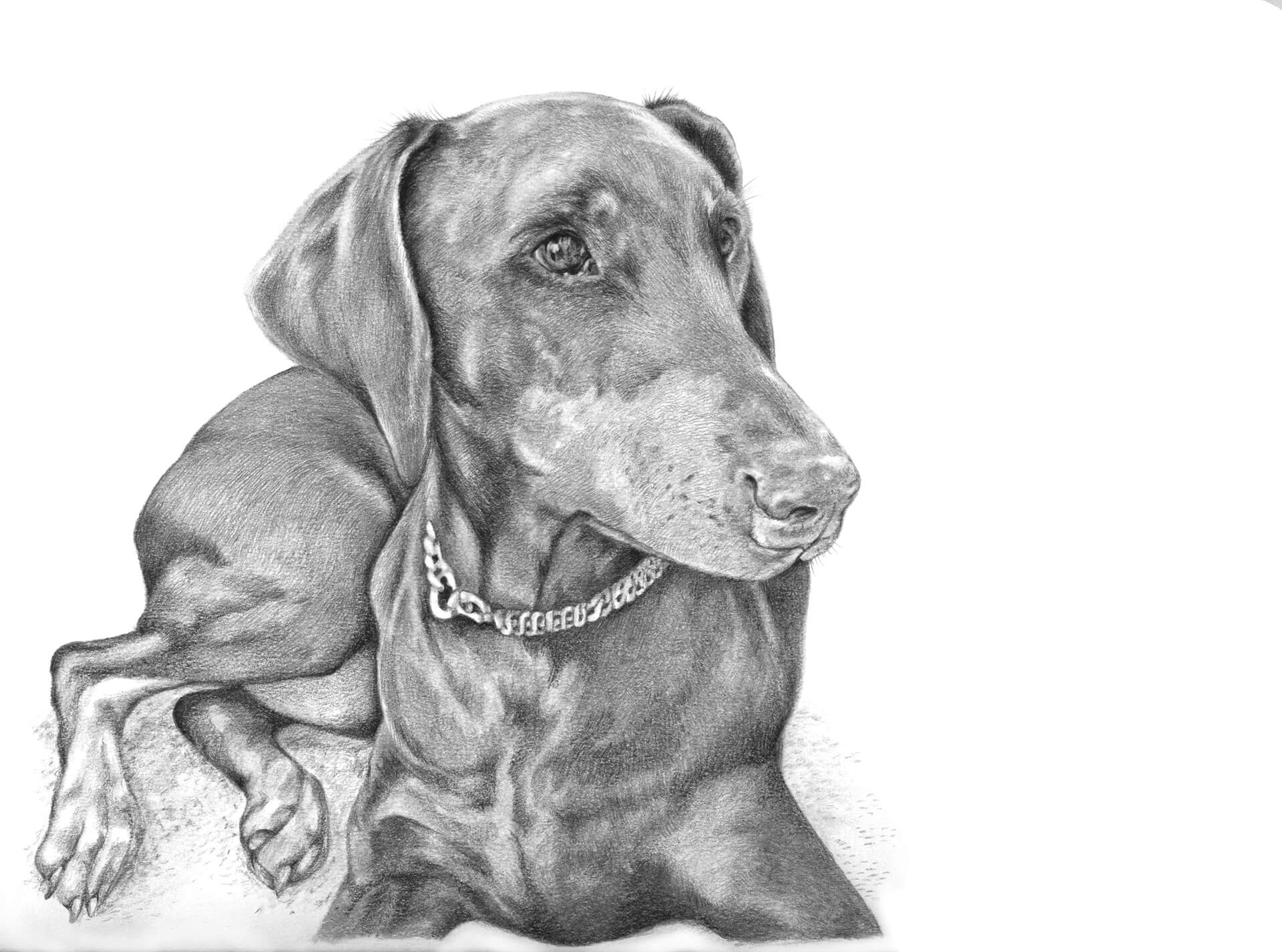 Clyde - Graphite Pencil