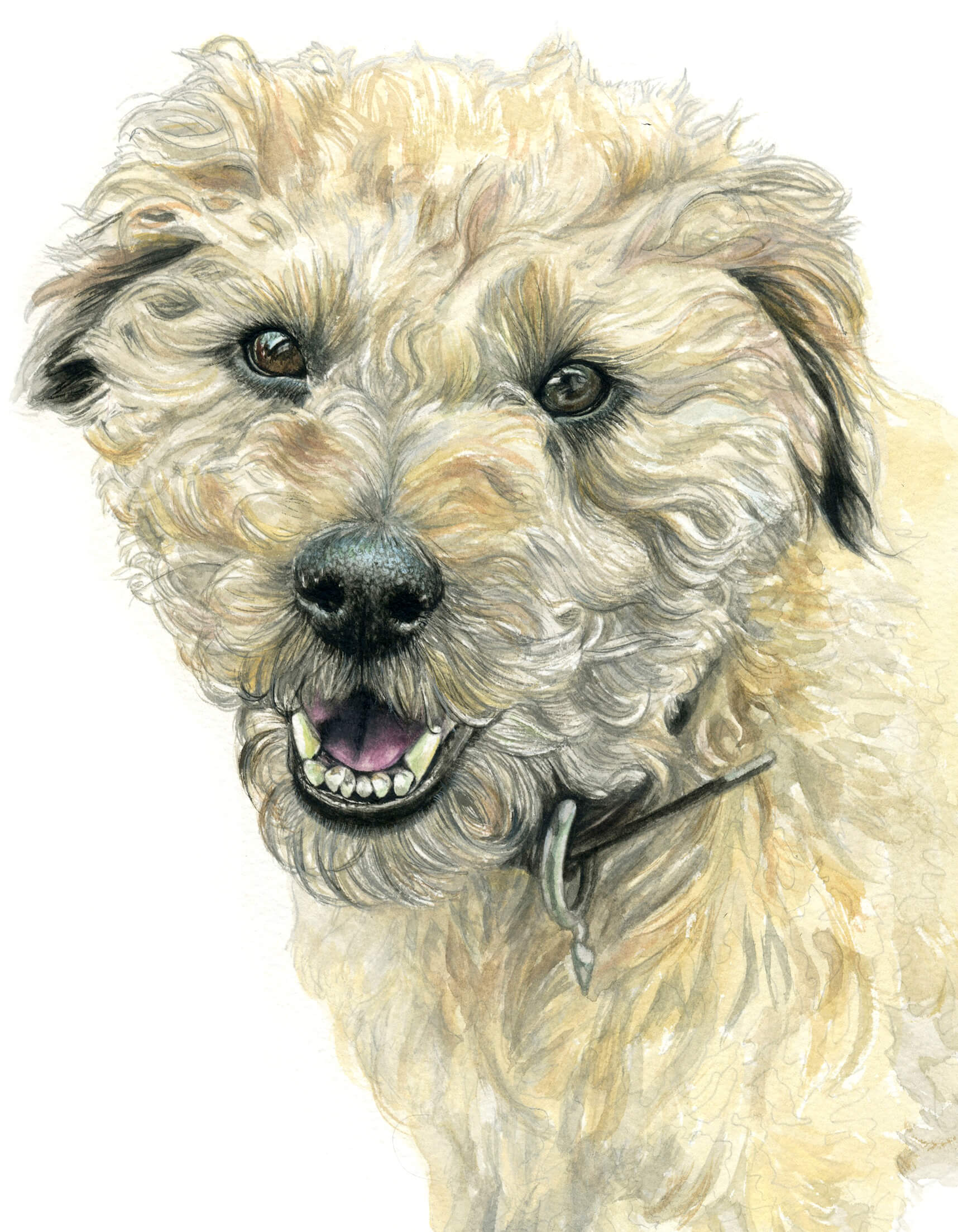 Jack - Watercolour