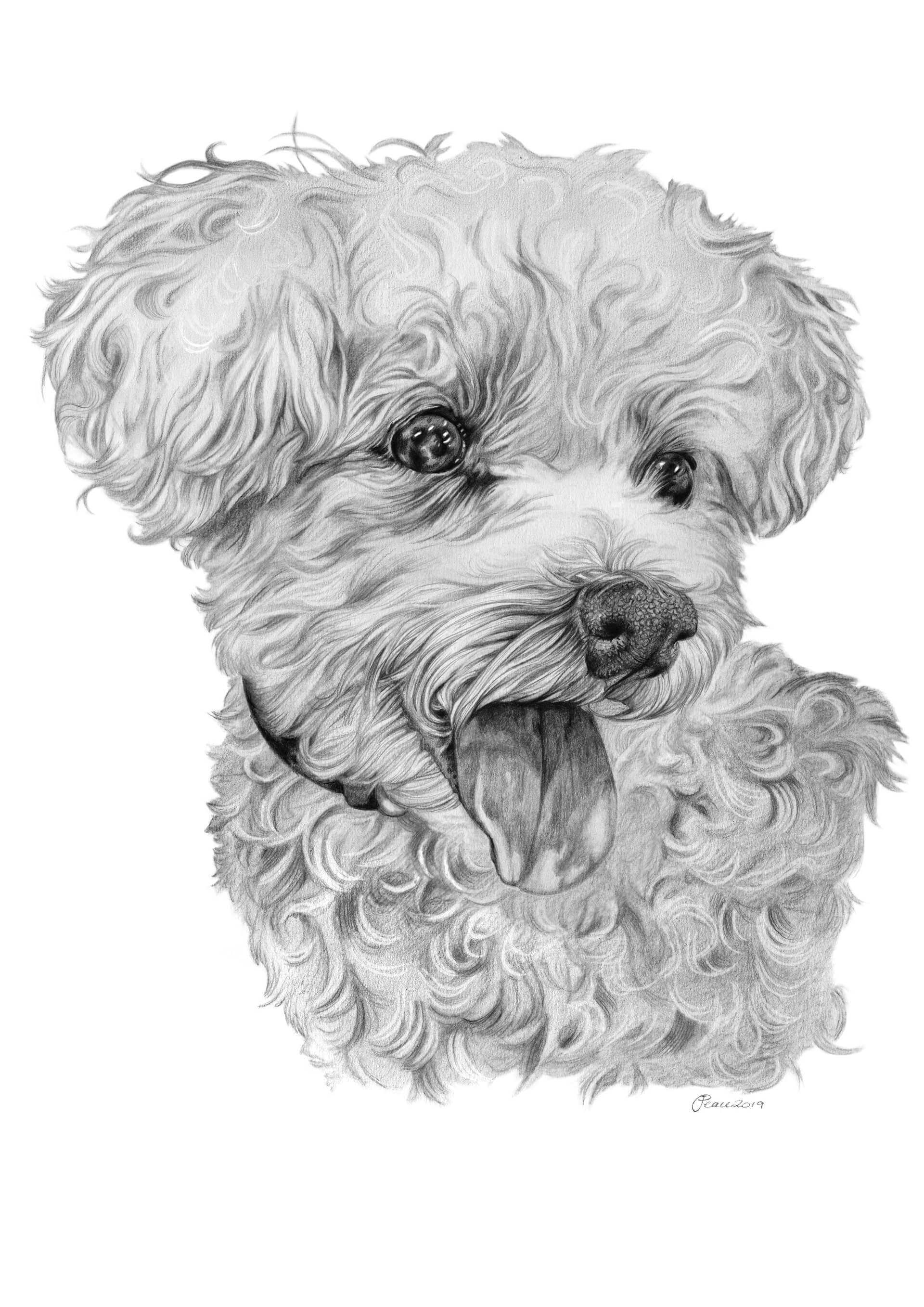 Millie - Graphite Pencil