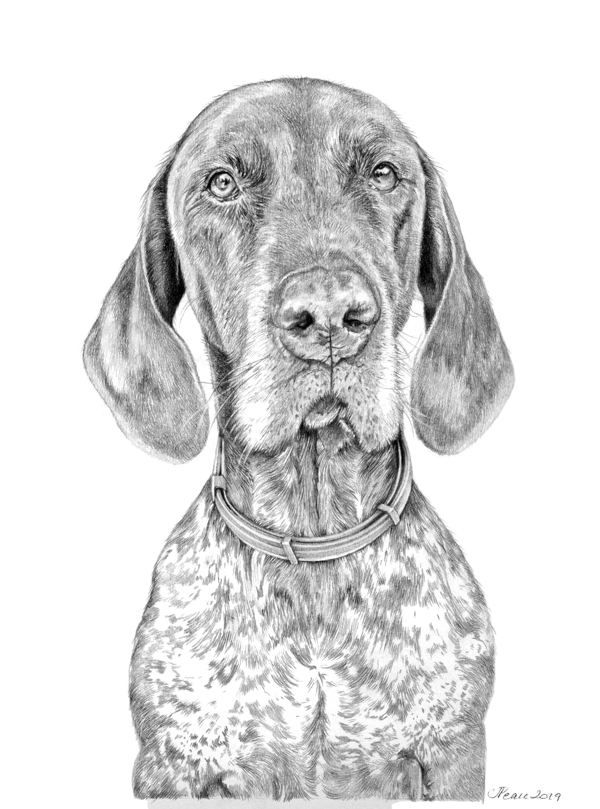 Ollie - Graphite Pencil