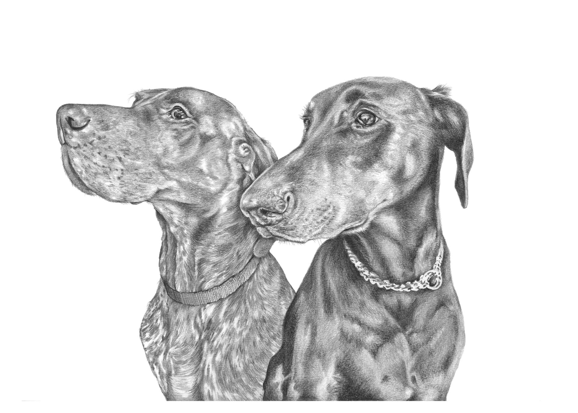 Ollie and Clyde - Graphite Pencil