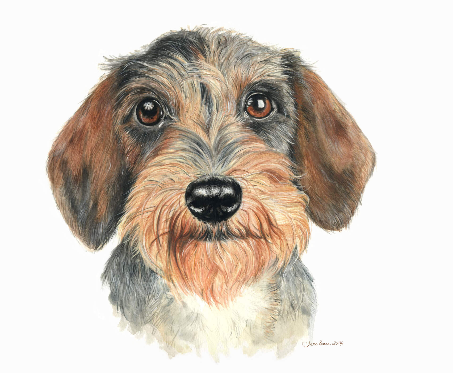 Pebbles - Watercolour