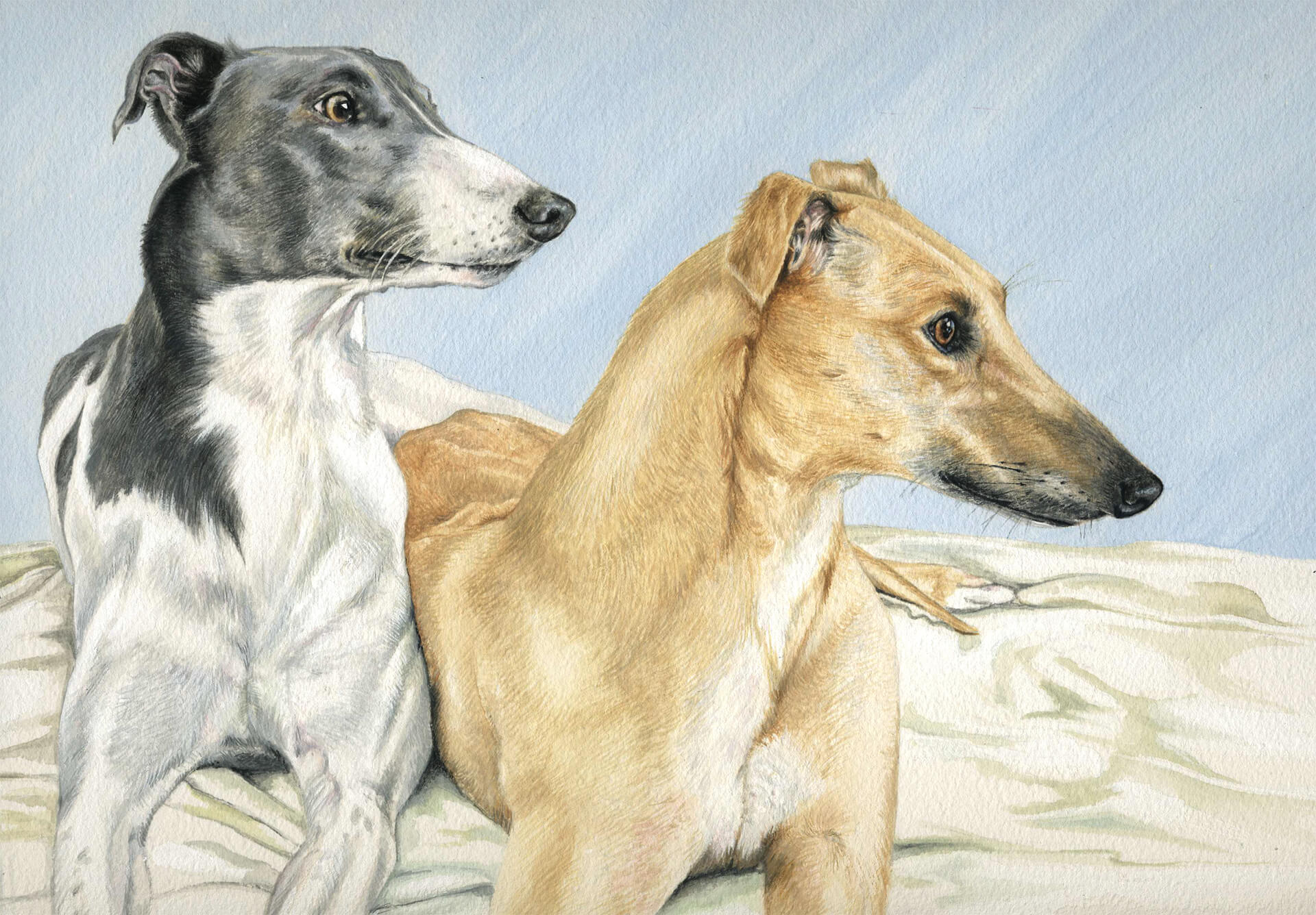 Smokey and Molly - Watercolour