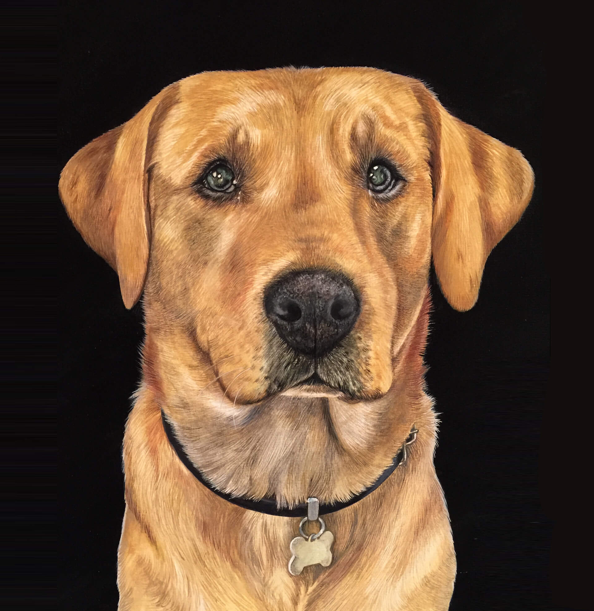 Toby - Watercolour